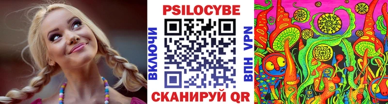 Галлюциногенные грибы Psilocybe  купить наркотик  Тулун 