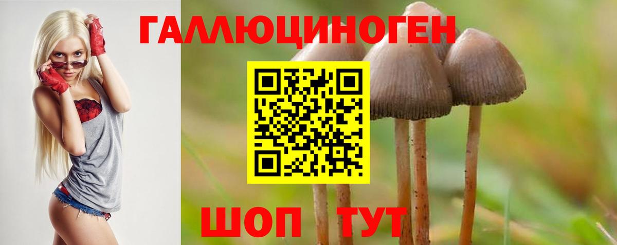 Тулун  Галлюциногенные грибы Psilocybine cubensis  Псилоцибиновые грибы мицелий  Вход с VPN 