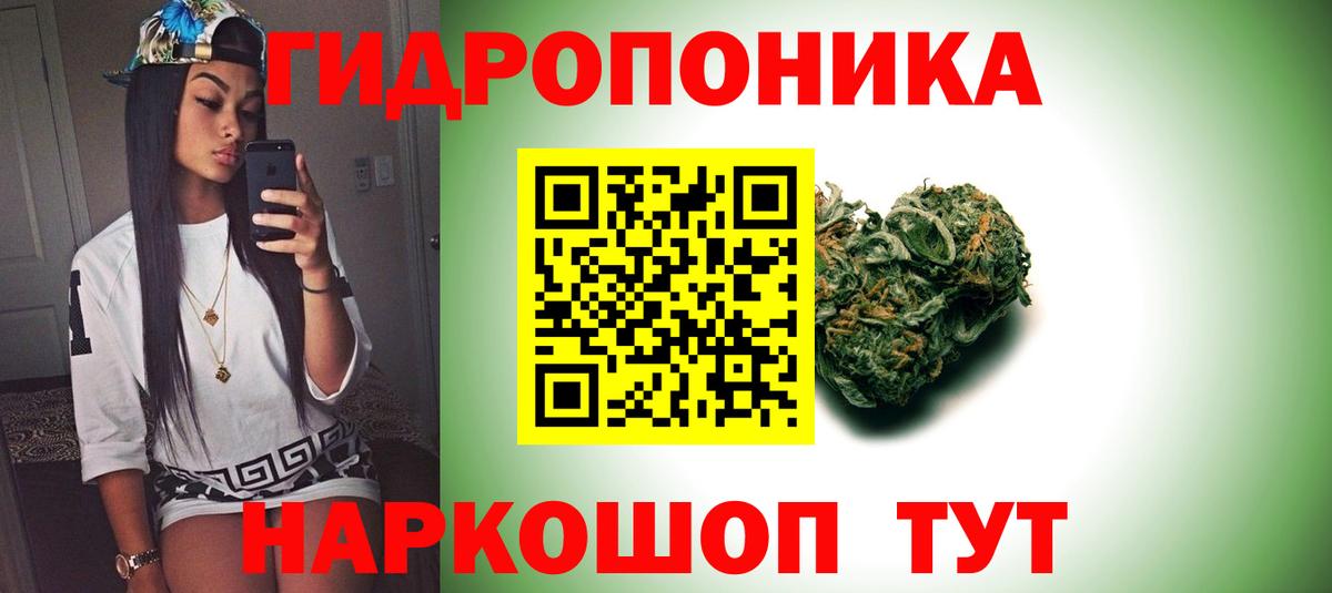 Бошки марихуана марихуана  Каннабис сатива  Вход с VPN  МАРИХУАНА ГИДРОПОН  Тулун  Шишки марихуана Bruce Banner 